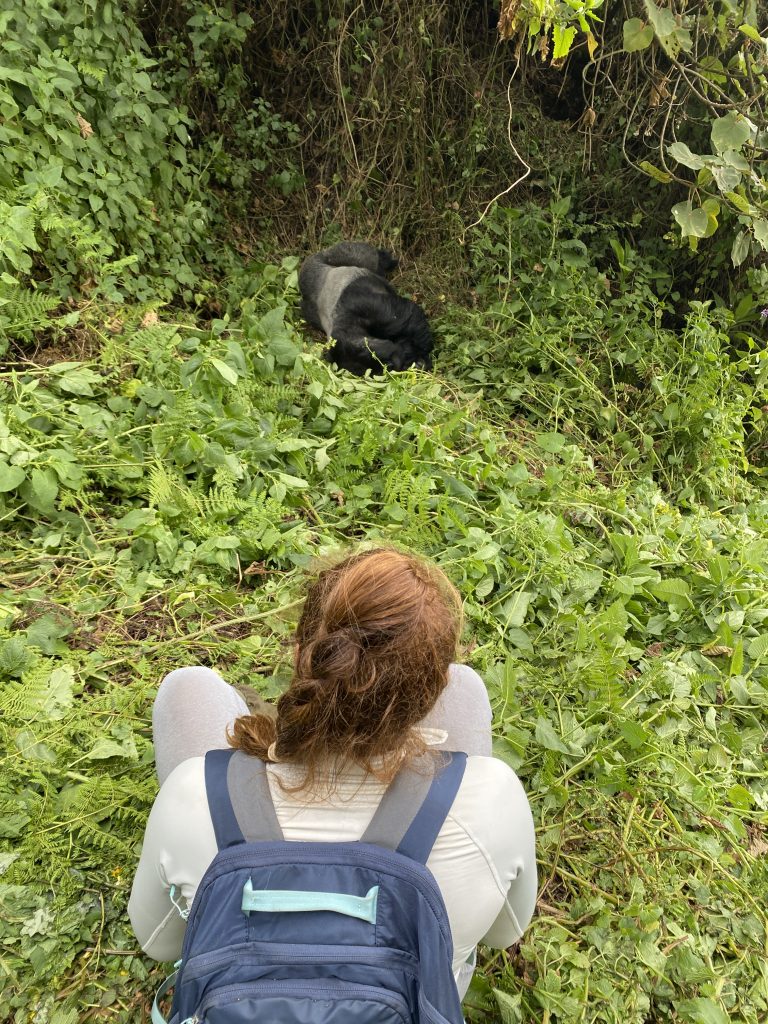 img 7501