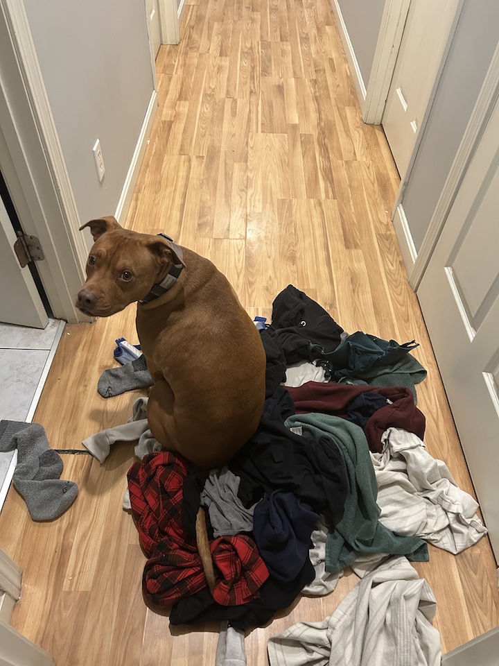 laundry