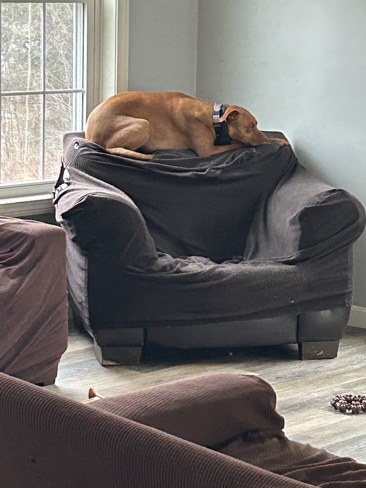 couch (1)