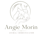 newlogo