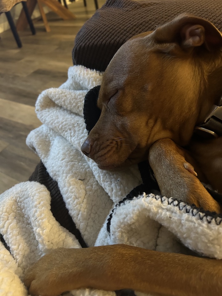sleepy