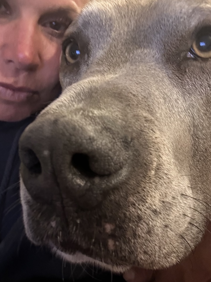 titanface