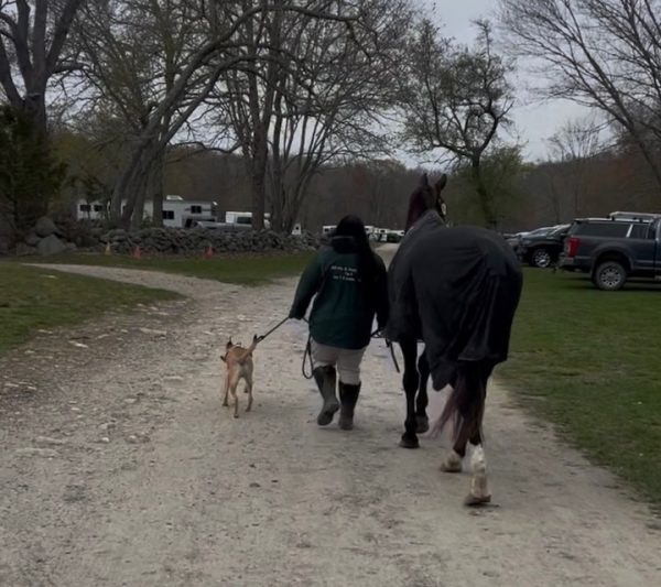 walking 600x533 (1)