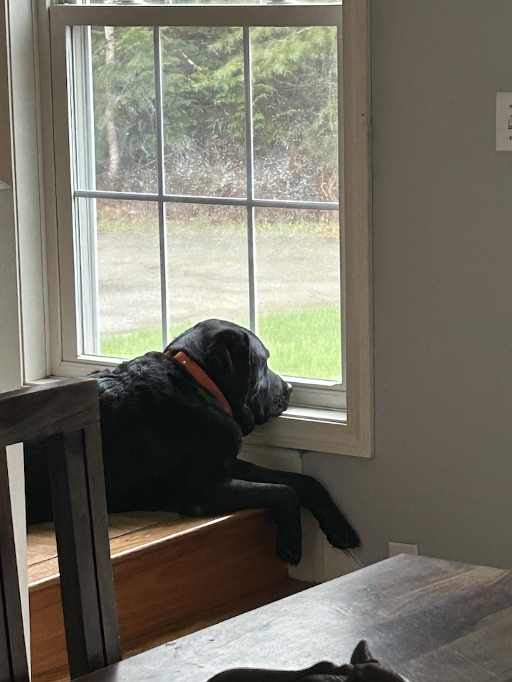 window