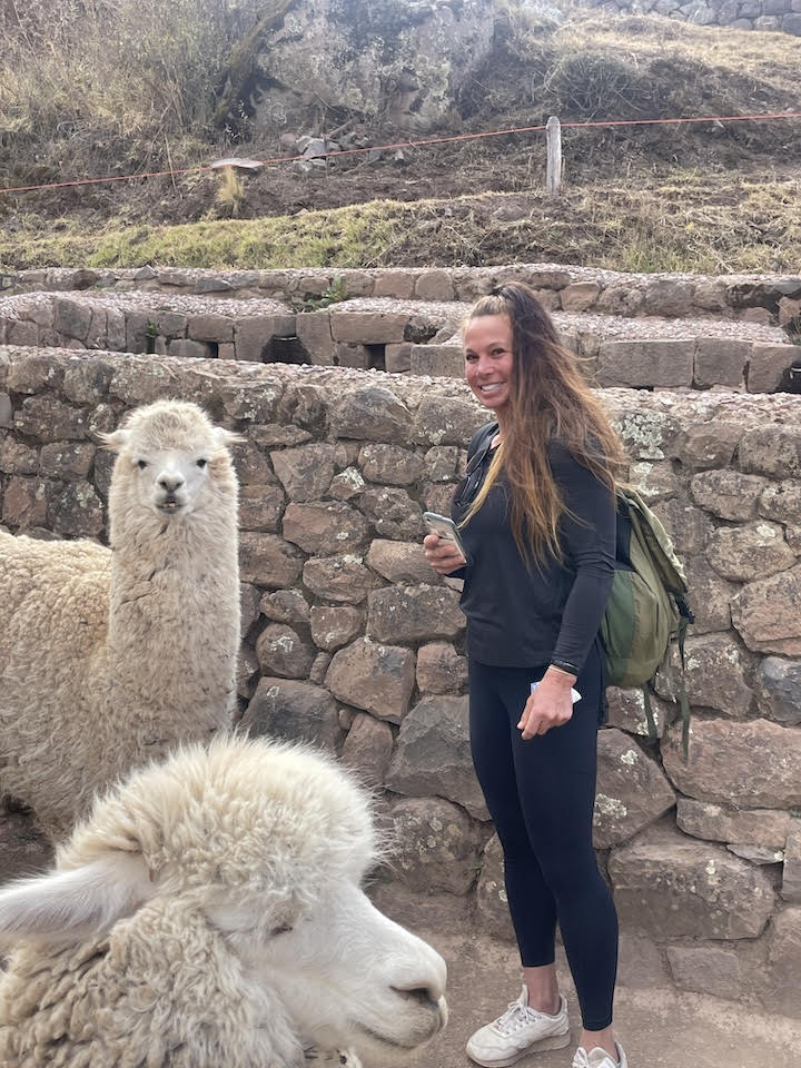 angie llama