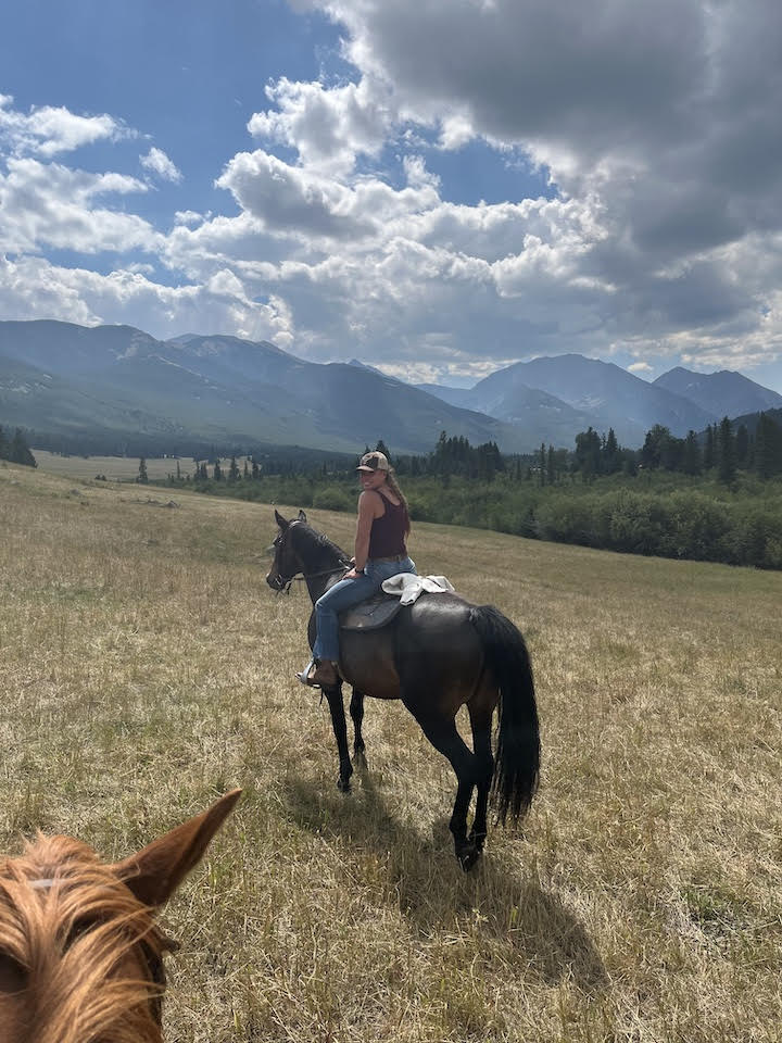 meetangie horse